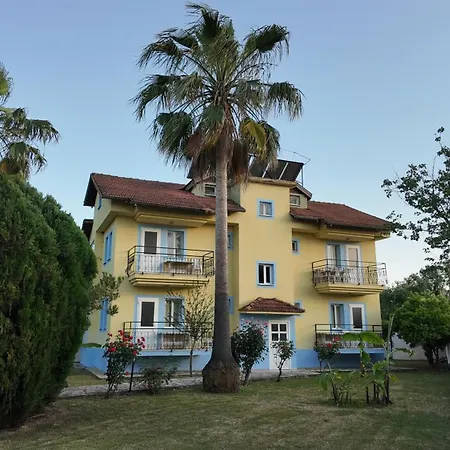 Summer Life 4* Дальян