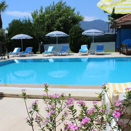 شقة فندقية Summer Life 4*